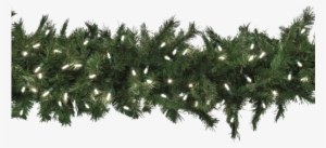 9′ Taiga Evergreen® Garland With 150 Led Lights - Shortleaf Black Spruce