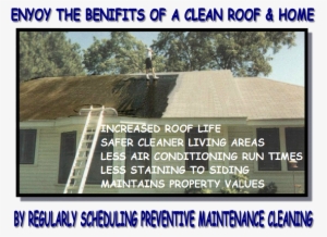 So Now That I've Cleared The Air And Educated You About - Roof
