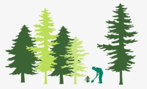 Tree Planting In Forest Illustration - United States Capitol