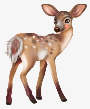 Freetoedit Nature Animal Deer Wildlife Babydeer Fawn - Deer