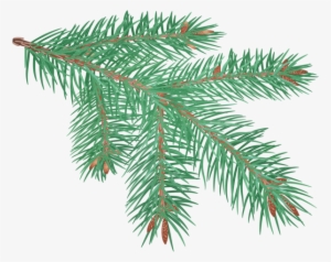 Pine Branch Clip Art Image - Clip Art
