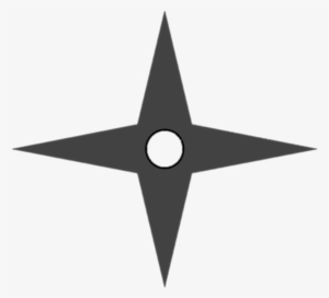 Ninja Star - Circle