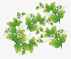 Watercolor Vector Herb - Vector Graphics