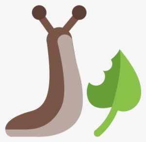 Snail