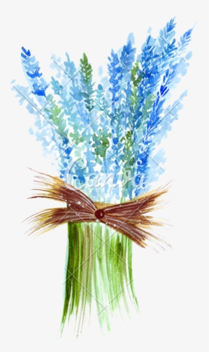 Hand Drawing Of A Watercolor Of A Bouquet Of Blue Lavender - Watercolor Painting