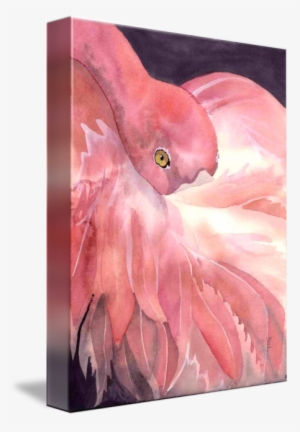 "flamingo" By Kelly Chester, San Jose // Sleeping Flamingo