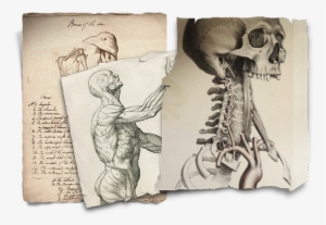 Frankenstein Is A Whole New Way Of Experiencing Mary - Frankenstein Mary Shelley Drawing