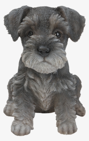 Clip Art Free Library Pet Pals Schnauzer Puppy Resin - Miniature Schnauzer Puppy Png