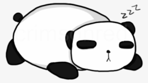 Collection Of Free Panda Transparent Sleeping Download - Sleeping Panda Png