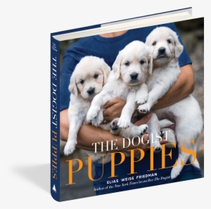 The Dogist Puppies - Dogist Puppies, The (hardcover)