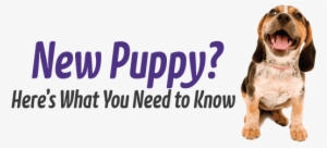 New Puppy - Dog Yawns