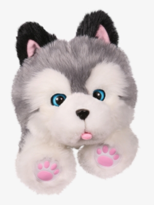 Frosty The Husky Puppy - Little Live Pets Frosty