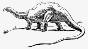 Clipartblack Com Animal Free Black White Images - Clipart Dinosaur Black And White