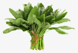 Product Overview / Spinach