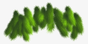 Transparent Pine Branches Png Clipart - Christmas Tree Branch Clip Art