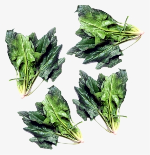 Green Spinach Png Image - Spinach
