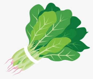 Clip Library Download Clipartxtras Png Clipartix - Clip Art Spinach Png