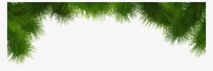 Pine Deco Branches Png Clip Art - Clip Art