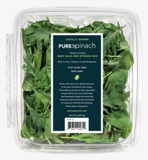 Kale New - Portable Network Graphics