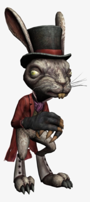 Ama - Amr - Lapin Blanc Alice