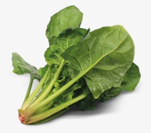 Spinach Transparent Background