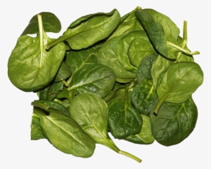 Spinach Leaves
