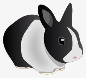 Black And White Rabbit - Rabbit Clip Art