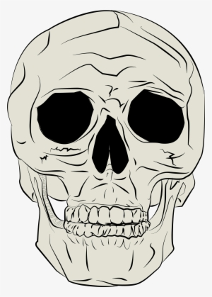 Human Skull By Jp Real Skull Png - Tengkorak Manusia Vektor