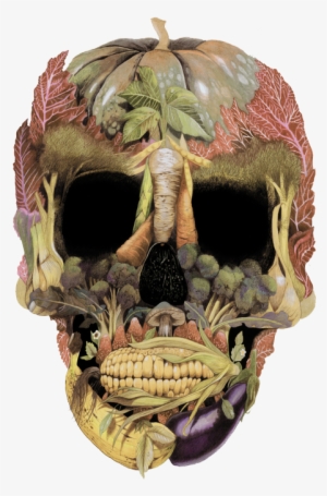 Illustration Tags - Skull