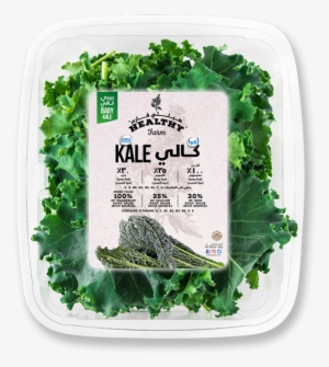 06 - Mixed Plant Seeds By Seed-balls.com - Mixed Kale Seed