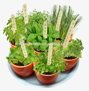 Clipart Resolution 1000*921