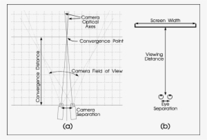 Stereoscopic Camera System And (b) Stereoscopic Display - Diagram