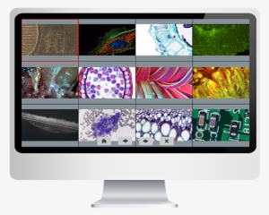 Cmos Camera - Microscope