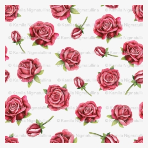 Watercolor Roses On White Small - Watercolor Painting