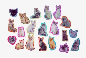 𝔭𝔫𝔤 On We Heart It - Mug Personnalisé Chat - Ref: 203