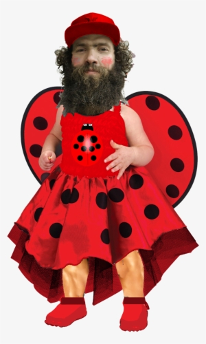 Ladybird Nazi - Nazism