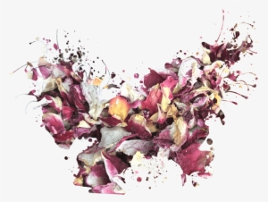 Loose - Petal