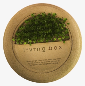 Living Box Is A Box Made From Biodegradable Material, - Sayama Tea