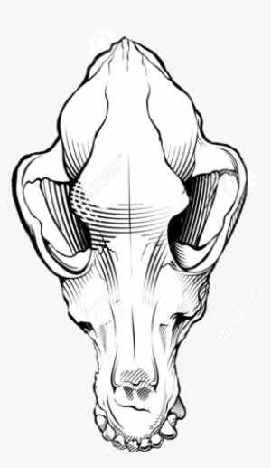 Dog Skull Black And White Free Dog - Dog Skull Drawing