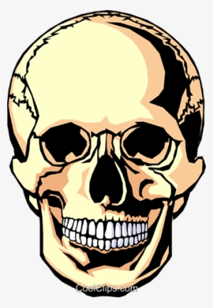 Human Skull Royalty Free Vector Clip Art Illustration - Skull Coloring Pages