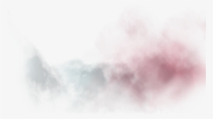 All Rights Reserved - Fog