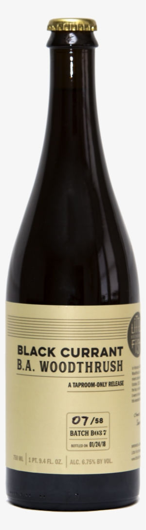 Black Currant B