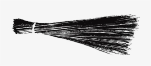 Repackaging Lohia Or Lenin Won't Get Aap Far Blog And