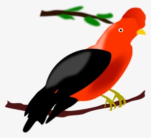 This Free Icons Png Design Of Andean Cock Of The Rock