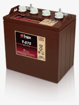 T 875 Trojan 8 Volt Deep Cycle Battery