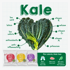 Kale Infographic - Eat Local Dekalb Sticker