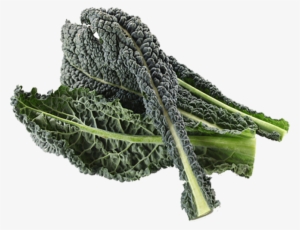 Kale Drawing Wild Mustard - Black Kale