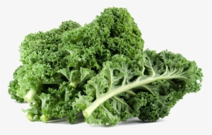 Kale Png Free Download - Kale Leaves In India