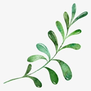 Hand Painted Realistic Green Leaf Transparent Decorative - 手繪 葉子