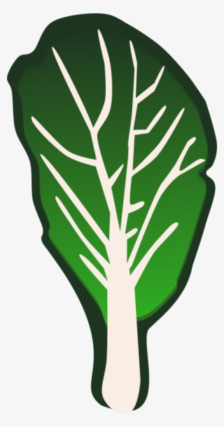 Leaf Vegetable Kale Cabbage Spinach - Vegetable Clip Art